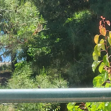 Σπίτι διακοπών Pine 2 Bedrooms 50 Meters To The Kalyves Polygyrou