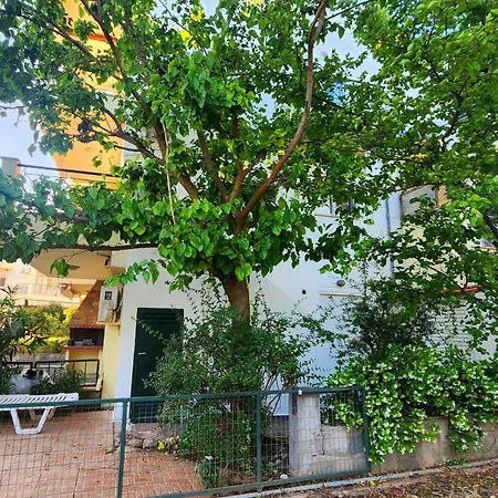 Pine 2 Bedrooms 50 Meters To The *