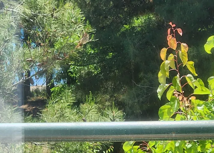 Ferienhaus Pine 2 Bedrooms 50 Meters To The Kalyves Polygyrou